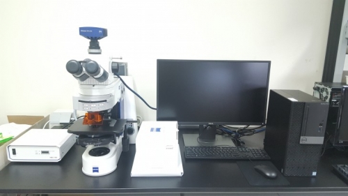 연구용 형광 현미경